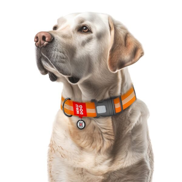 WAUDOG Waterproof dog collar
with QR-passport, reflective,
plastic buckle