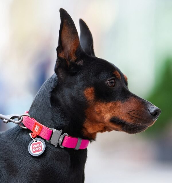 WAUDOG Waterproof dog collar Pink