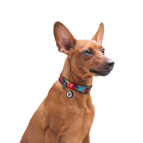 WAUDOG Nylon dog collar with QR
passport, «Vitrage» design, plastic
fastex