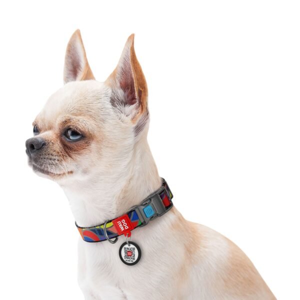 WAUDOG Nylon dog collar with QR
passport, «Vitrage» design, plastic
fastex