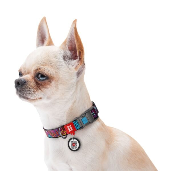 WAUDOG Nylon dog collar with QR
passport, «Summer» design, plastic
fastex