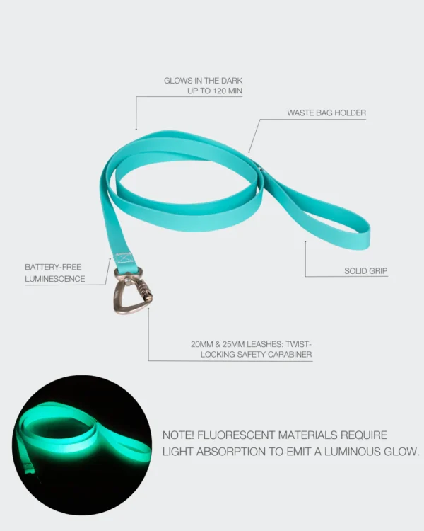 PAIKKA Glow Leash Aqua šviečiantis pavadėlis šuniui