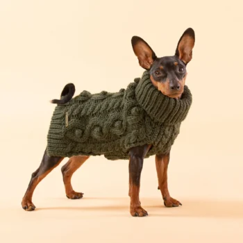 PAIKKA Handmade Knit green megzta liemenė šuniui su vilna