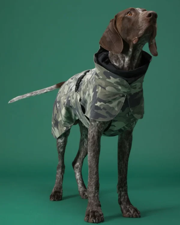 PAIKKA Recovery Raincoat Camo liemenė šuniui